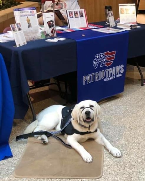 A dog sitting on the ground next to a table.